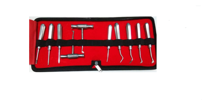 SSI Dental Root Elevator 10 pcs kit