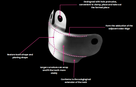 Sectional Matrix Band Refill & Matrix Grip DDI