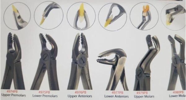TOP DENT TDI CROSS SERRATION FORCEPS KIT (SET OF 7)